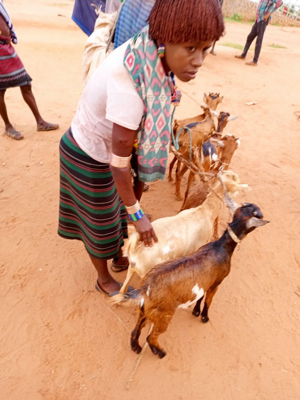 Livestock for livelihoods